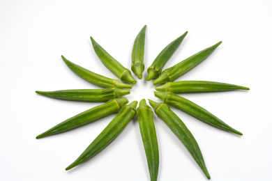 放射状的摆在白色背景上的绿色蔬菜秋葵