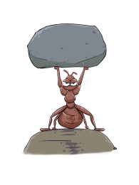 梦想可以让一个渺小的存在创造出无限的可能