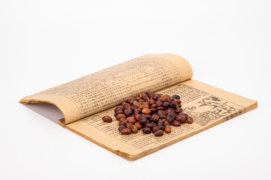 中国中草药植物药材皂角籽