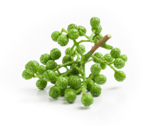 白底上的新鲜绿色花椒