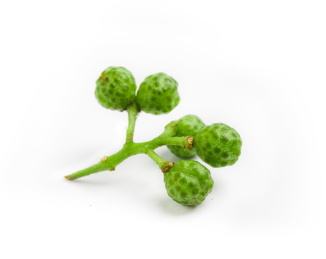 白底上的五颗藤椒