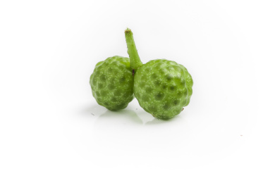 白底上的两颗藤椒 花椒