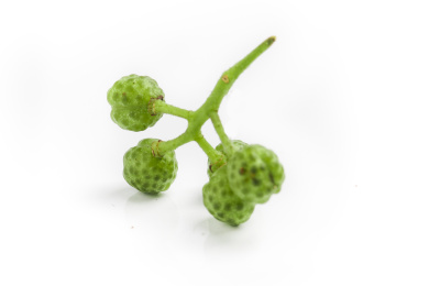 白底上的带枝的几颗藤椒