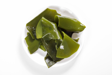 具有调节免疫功效的健康食品海带