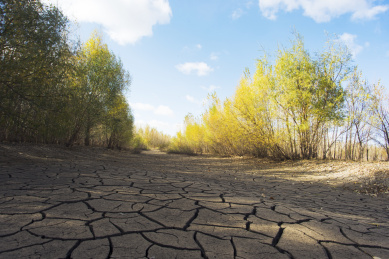 秋季干枯的河床和岸边的树林