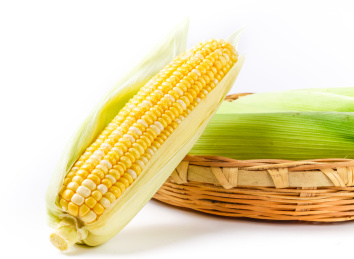 白底上一根装在篮子里的玉米和一根靠在篮子上剥了皮的玉米