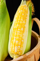 装在篮子里的剥皮玉米果肉展示