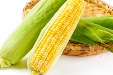 靠在篮子上的两根玉米棒，一根没剥皮的玉米棒，一根剥了皮的玉米棒