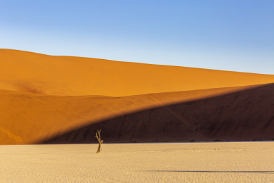 非洲纳米布大沙漠自然风光