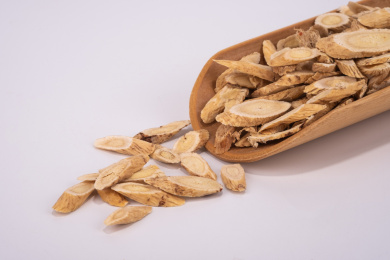 中国中草药植物药材黄芪