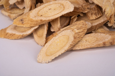 中国中草药植物药材黄芪