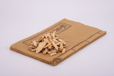 中国中草药植物药材黄芪