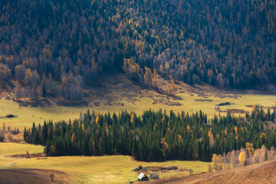 中国新疆禾木草原的秋天景色