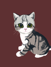 这是一只银虎斑小猫的插图