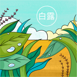 户外植物叶子上的露水白露主题矢量插画