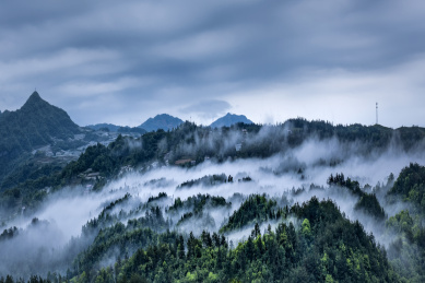 中国湖北恩施鹤峰县木耳山茶园