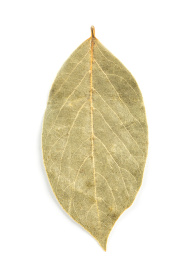 传统调味料香叶月桂叶微距特写