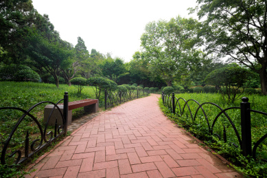 中国青岛八大关公园里面的道路
