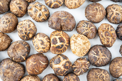 满屏晒干的真菌食材干货香菇