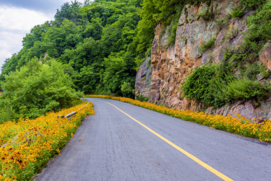 中国辽宁丹东鸭绿江边的无人道路
