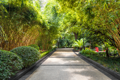 中国重庆居民小区内部景观