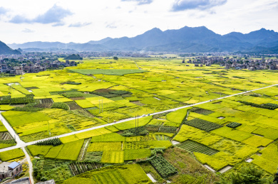 航拍中国广西玉林市兴业县乡村自然风光