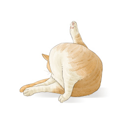 手绘猫咪舔毛搞笑姿势透明底分图层橘猫插画