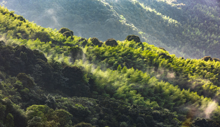 中国广东河源缺牙山山脉雾气蒸腾景观