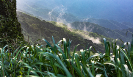 中国广东河源缺牙山山脉雾气蒸腾景观