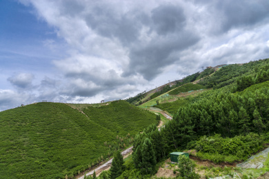 河北张家口崇礼夏季绿色山脉风光