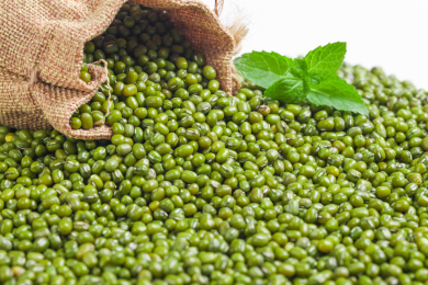 从麻袋里倒出来的绿豆上放着薄荷