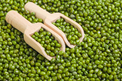 绿豆底上用两个勺子装起来的绿豆