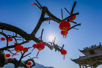 浙江省台州市公园景区红灯笼装饰物