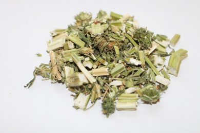 益母草，益母草属植物