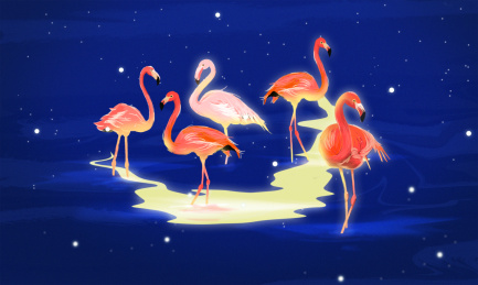 小插画月光下湖面上的火烈鸟