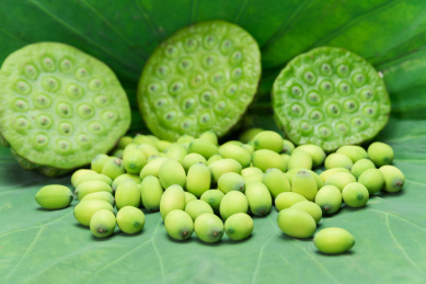 放在荷叶上新鲜采摘的莲蓬和莲子