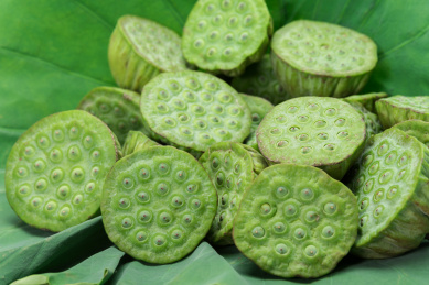 放在荷叶上新鲜采摘的莲蓬和莲子