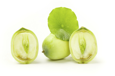 莲子切开放在白底上