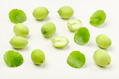 莲子切开的和完整的组合放在白底上