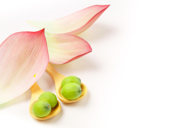 莲子放在勺子里用荷花修饰放在白底山