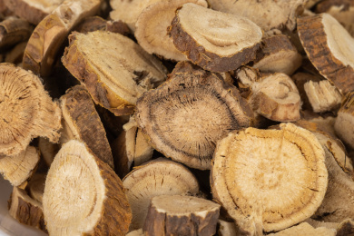 中国中草药植物药材苦参