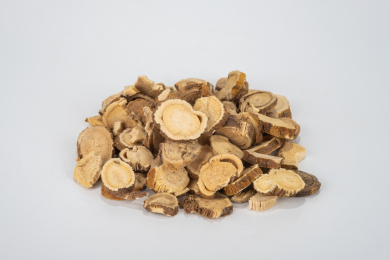 中国中草药植物药材苦参