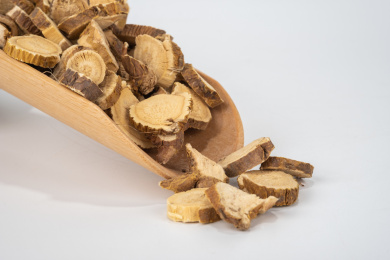 中国中草药植物药材苦参