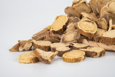 中国中草药植物药材苦参