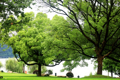 中国杭州市临安市青山湖国家森林公园