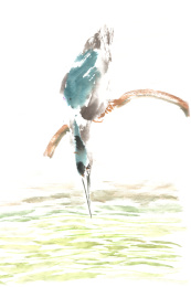 一只低头伸向水面觅食的水鸟