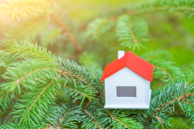 放在树梢上的小房子模型——买房概念图片