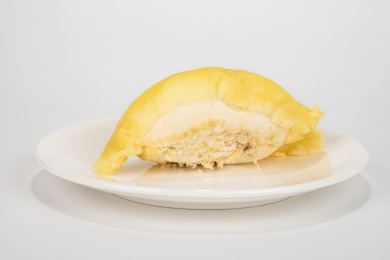 热带水果之王榴莲白底