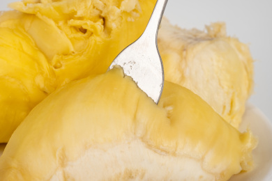 热带水果之王榴莲白底