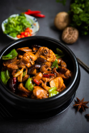 一盘搭配有原料的黄焖鸡米饭放于深色背景中